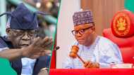 Just In: 2 prominent Nigerian senators who defected meet Tinubu
