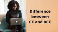 What is the difference between CC and BCC? A guide to help you use them correctly