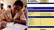 "Best result so far": Delta girl packs straight A1s in WAEC, photo of impressive scores trends on Facebook