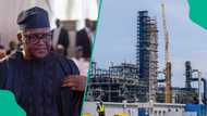 Yadda matatar Dangote za ta kawo cikas ga harkar mai a Turai, OPEC ta yi karin haske