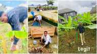 "Youths should go back to the farms": 26-year-old Nigerian graduate who earns a living as farmer gives reasons