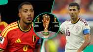 Spain vs Belgium: Mysterious cat predicts 2026 FIFA World Cup quarter-final
