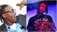 Nigerian music lovers react as Naira Marley is compared to Free Madness crooner Terry G