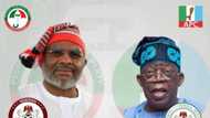 "This Man Go Give PDP HBP," Nigerians React as Chimaroke Nnamani Changes DP on Twitter