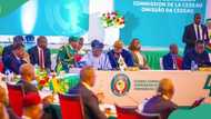 Coup: ECOWAS takes crucial step to restore constitutional order in Niger Republic