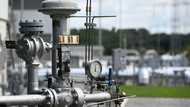 Germany to fall short of gas stock targets: regulator