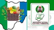 NNPP faces fresh crisis as presidential candidate's name missing from INEC's final list