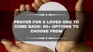 Prayer for a loved one to come back: 50+ options to choose from