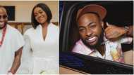 Davido sweetly reacts to being hailed as Chioma's only husband, video trends: "The oracle has spoken"