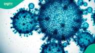 CIA leaks new information about the possible origin of corona virus that killed thousands