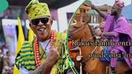 Horse dances to drum beats at Ojude Oba festival; 3 epic moments that caught attention online