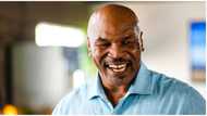 Biographie de Mike Tyson: palmarès, fortune, poids, taille, enfants