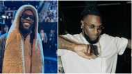 Burna Boy reveals year he realised he was going to be famous, sparks reactions around tribalism