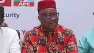 Akpabio: APC drags INEC commissioner over refusal to obey court order