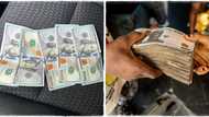 "I lost over N123,000": Man who has $500 cash changes it at official exchange rate, gets 381,765