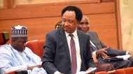 Shehu Sani advises workers on how to deal with govs who refuse 30k minimum wage