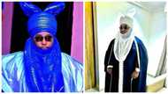 Yanzu-Yanzu: Jakadan Najeriya Kuma Ɗan Uwan Mai Martaba Sarkin Zazzau Ya Rasu