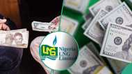 Naira to appreciate as FG moves to boost Forex liquidity with $7bn NLNG dividends