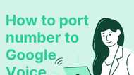 Step-by-step guide on how to port number to Google Voice