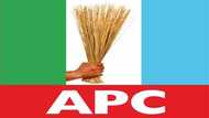 Supplementary poll: Jubilation as APC wins Ekiti Assembly seat