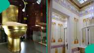 Thieves get into palace, steal gold toilet worth over N5 billion, location announced