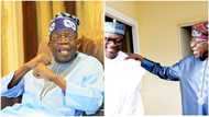 Ko hannun Tinubu na rawa haka zamu zabeshi shugaban kasa a 2023, Jibrin