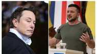 Elon Musk bows, to Proceed with Twitter deal as billionaire annoys Ukrainians over Twitter poll on war