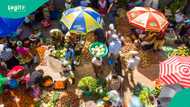 Top 10 states with highest food inflation in Nigeria