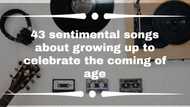 43 sentimental songs about growing up to celebrate the coming of age