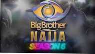 BBNaija 2021 audition compilation to entertain you until season 6 starts