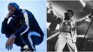 There's actually no beef between them: Reactions as DJ plays Wizkid's songs during Davido's O2 concert