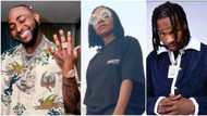 Davido, Naira Marley, Asa, 7 other Nigerian celebrities with dual citizenship and their other countries