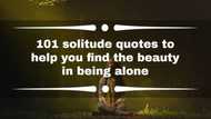 101 solitude quotes to help you find the beauty in being alone