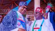 2023 presidency: What will happen if PDP, others win, Buhari speaks