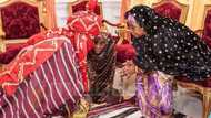 Sanusi, Sultan Dasuki da Sarakuna 5 da suka rasa rawaninsu a dalilin sabani da gwamnati