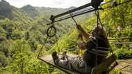 Deathtrap cable cars spook Turkey's intrepid tea farmers