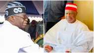 Buhari's ally sends strong warning message to Tinubu over Kwankwaso