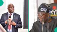 Oil and gas reforms: Nigerians in diaspora send major message to Tinubu, Komolafe