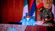 President Buhari appoints Usman Alkali Baba as acting IGP
