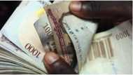 Conoil, Briscoe, Omatek, others fined over N1 billion by stock market authority