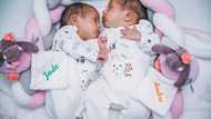 'Sorry mom, I couldn't leave them,' My 16-year-old son said when he brought newborn twins home