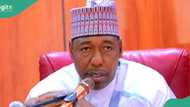 Zulum raises alarm over resurgence of Boko Haram: “Entire Nigeria may be wiped off”