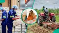 NACCIMA opens applications for $150 million fund to boost Nigerian businesses