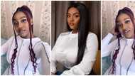 Trending video of Davido's wife Chioma's lookalike leaves social media users stunned: "Her twin"