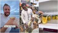 I will rather live in Nigeria, pineapple is cheap here but over N2k in Paris - Oyinbo man says in viral video