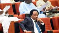 Outspoken senator, Shehu Sani, reveals former minister Buhari should have re-nominated