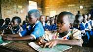 Enrol your children in public schools - Gombe government tells teachers