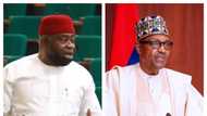 Insecurity: Powerful PDP lawmaker wants Nigerians to carry ammunition, says President Buhari failed