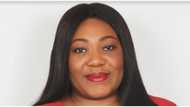 UBA America to Facilitate Investment, Development Capital, Trade between North America and Africa - CEO