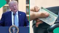 US releases 3 conditions foreign professionals need to get Green Card without job offer